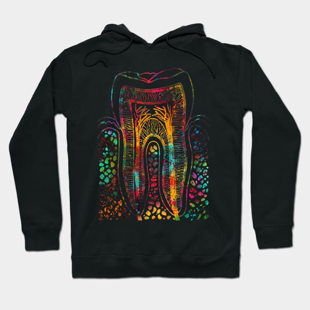 Tooth Structure Hoodie by erzebeth